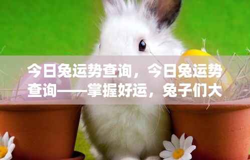 今日兔运势查询，大展宏图，掌握好运！