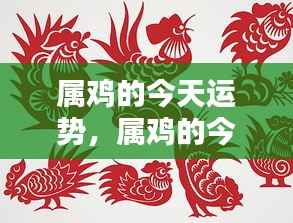 属鸡人士今日运势运势详解
