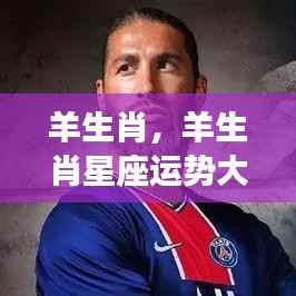 羊生肖星座运势揭秘，顺风顺水的未来展望