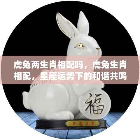 虎兔生肖相配与否？星座运势下的和谐共鸣探讨