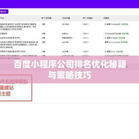 百度小程序公司排名优化秘籍与策略技巧