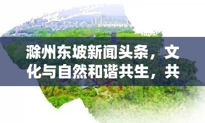 滁州东坡新闻头条，文化与自然和谐共生，共创美好未来
