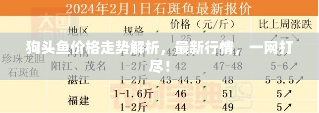 狗头鱼价格走势解析，最新行情，一网打尽！
