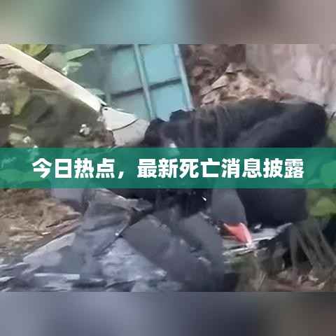 今日热点，最新死亡消息披露